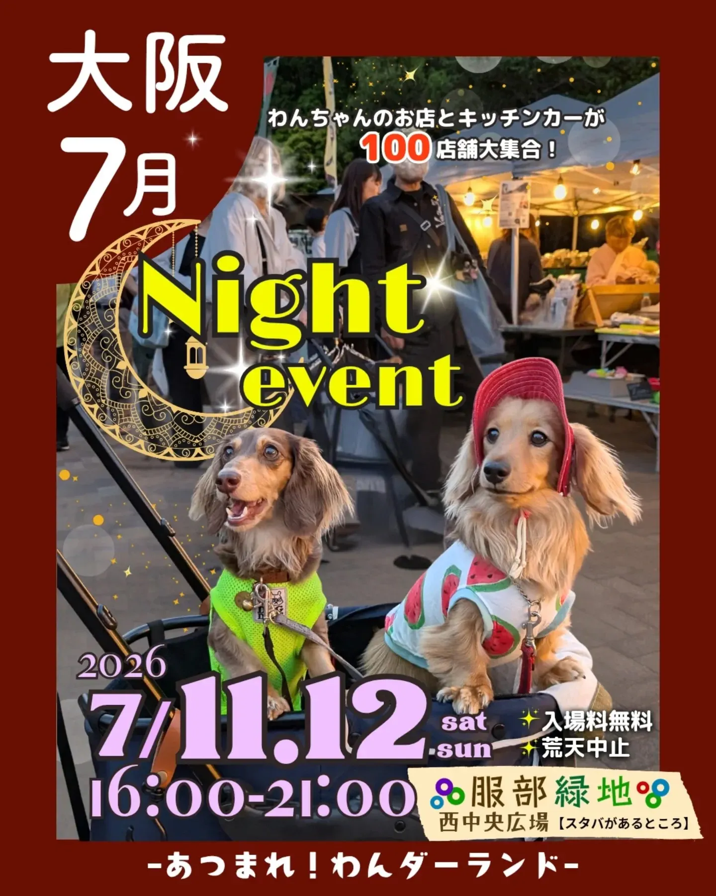 あつまれわんダーランドNight event あつまれわんダーランドNight event