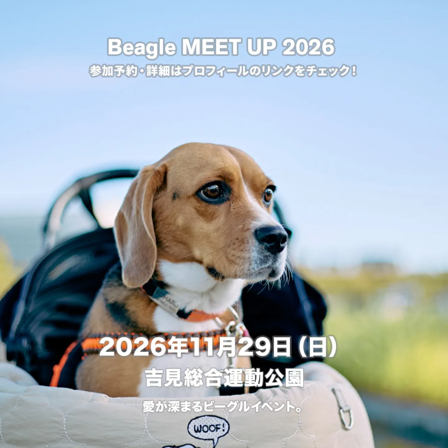 Beagle MEET UP 2026 Beagle MEET UP 2026