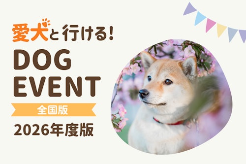 2026年】全国の愛犬と一緒に楽しめるドッグイベント最新情報（随時更新