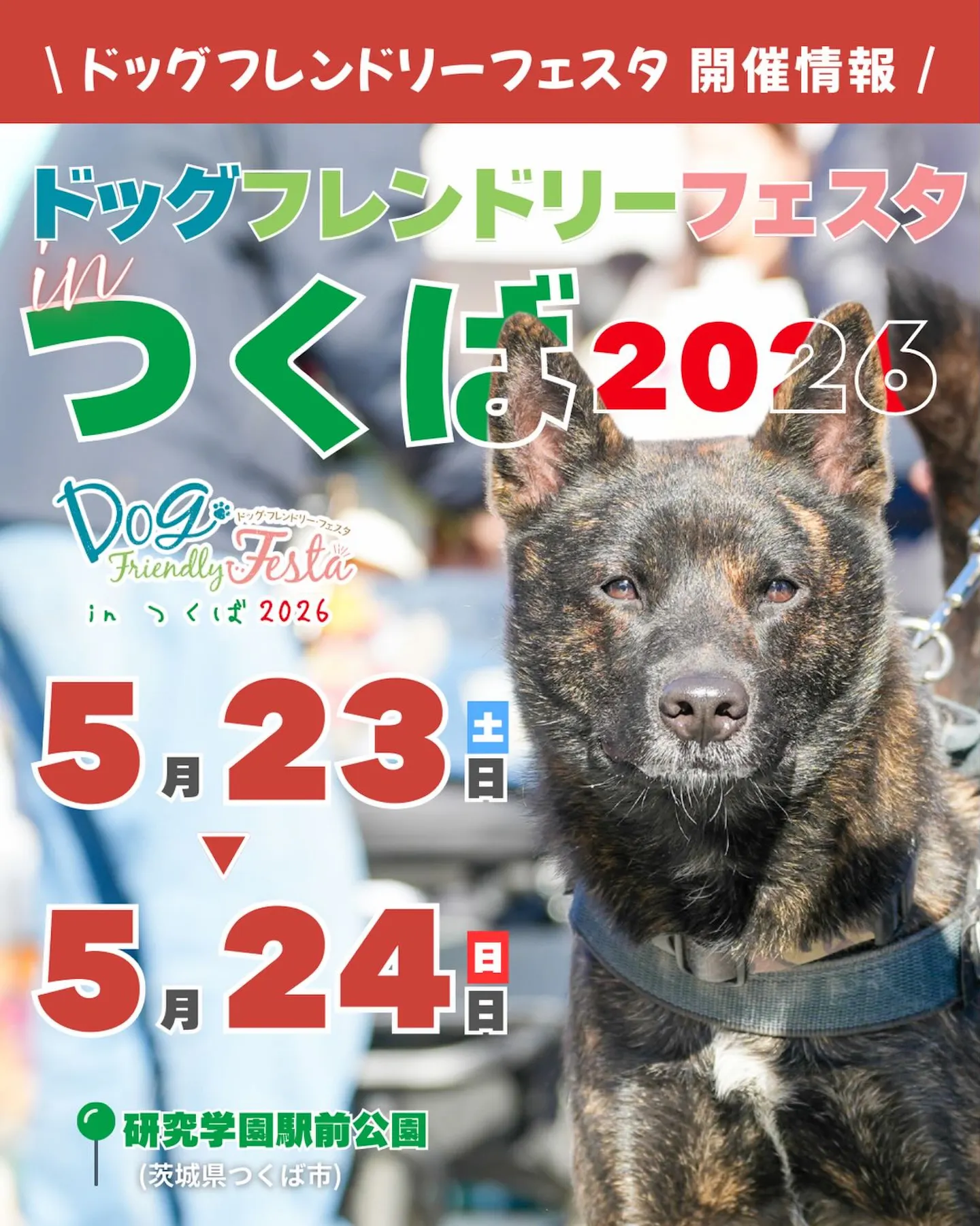 ドッグフレンドリーフェスタ in つくば 2026