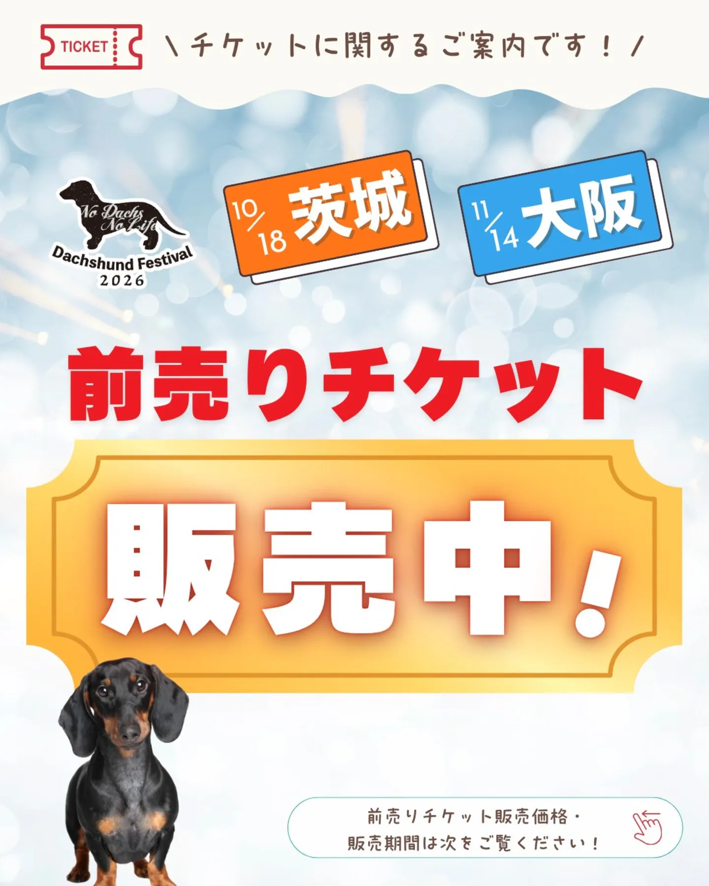 ダックスフントフェスティバル 2026 AUTUMN meets 大阪北港マリーナ