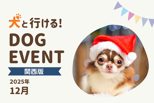 犬ページ 2026年（令和8年）壁掛けカレンダー（大判） バーニーズ・マウンテン