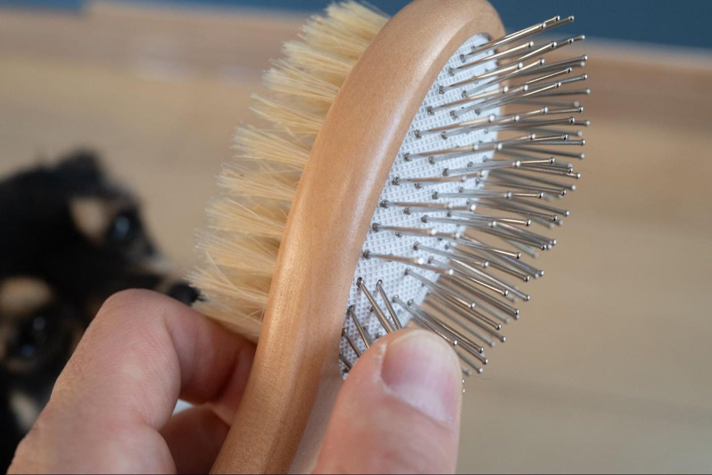 銀色の歯用ヘッドと豚毛部分の2つを備えたデザイン