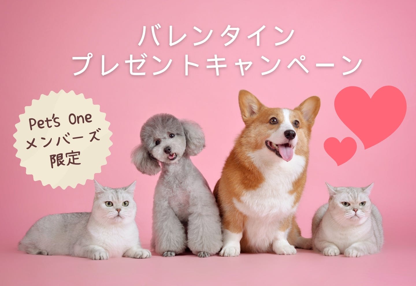 カインズ犬猫バレンタインプレゼントキャンペーン【Pet’s Oneメンバーズ限定】