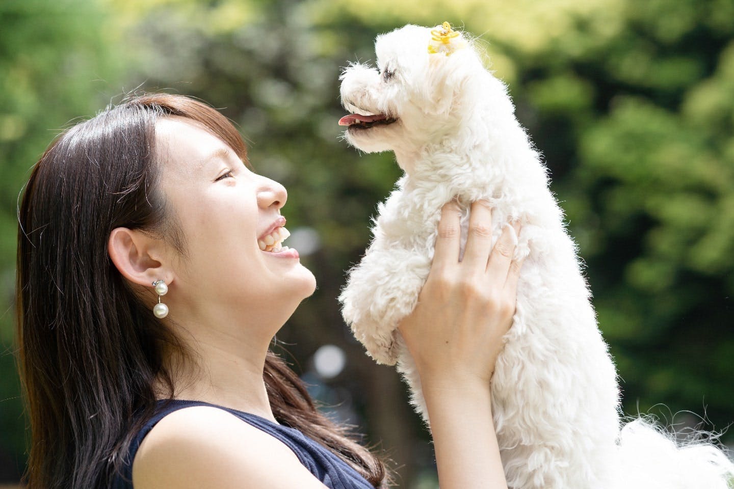 犬の記憶力はどのくらい？ 人の顔を何年覚えている？ 犬の記憶について詳しく解説【獣医師監修】