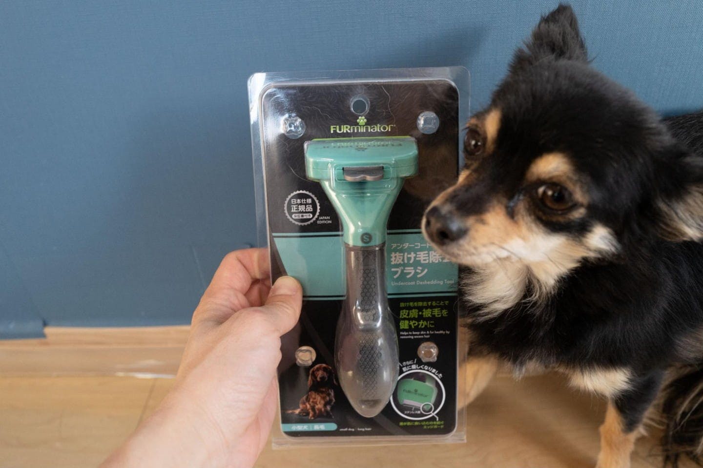 何が始まるんだと不安なこんぶ