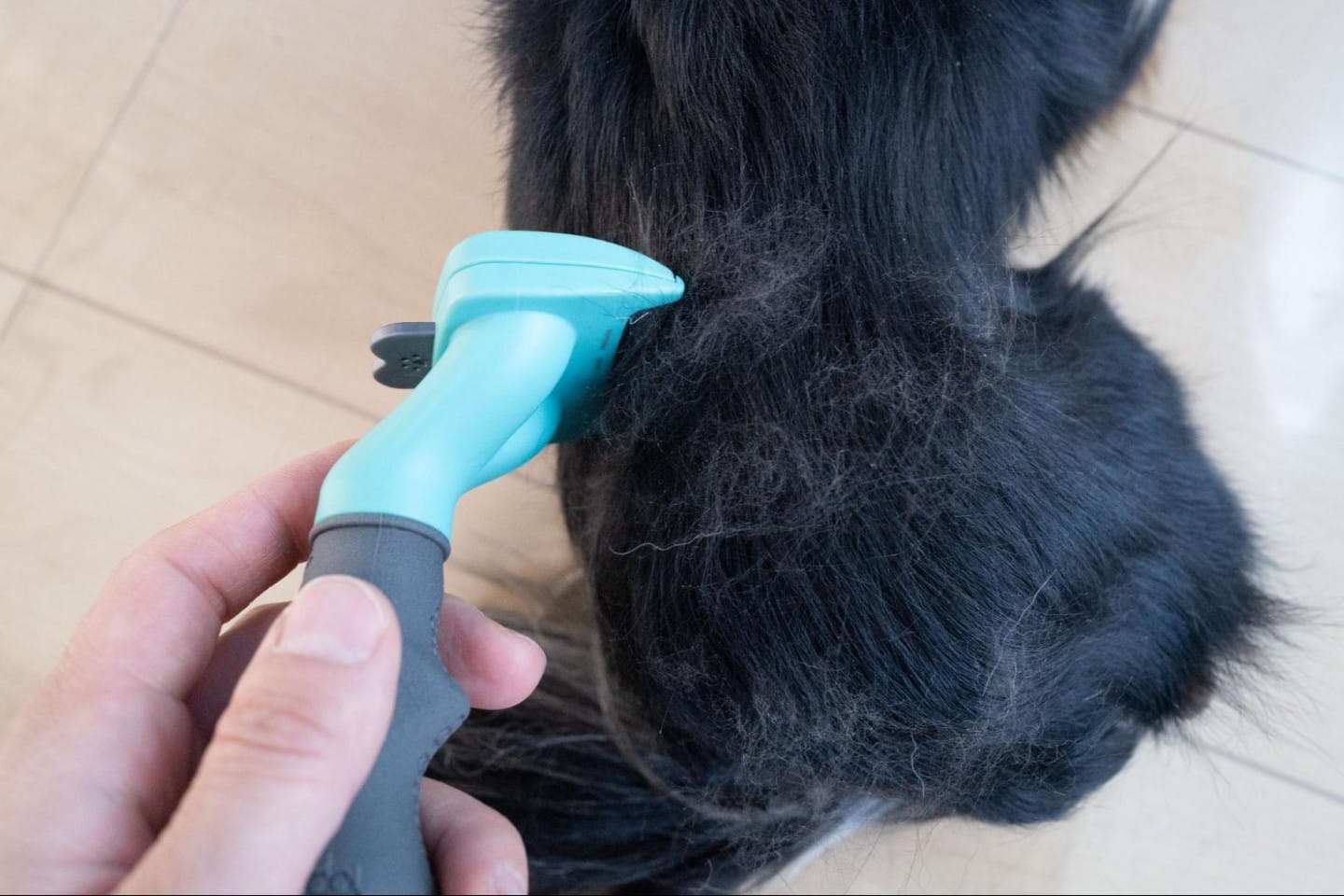 ブラシが小さめで小回りがきく犬用ブラシ