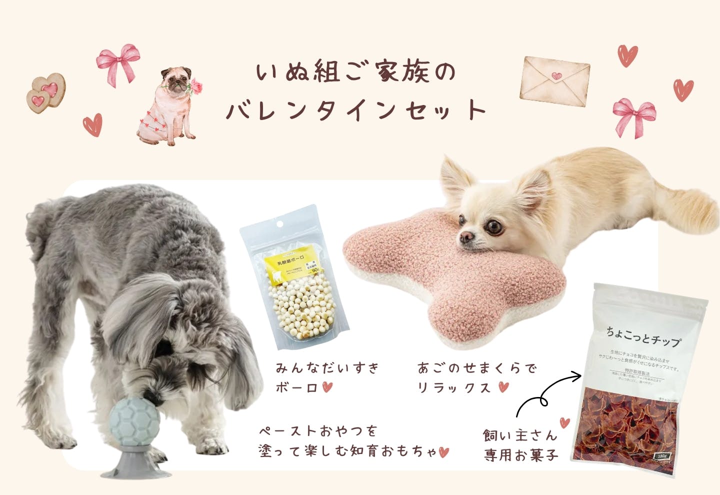 いぬ組プレゼントセット