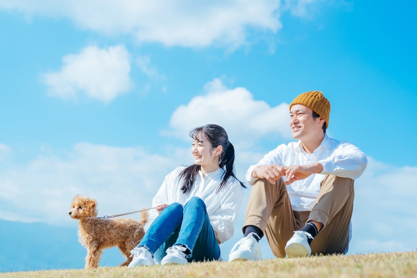 【Q&A】犬の記憶力や認知機能に関わるよくある疑問