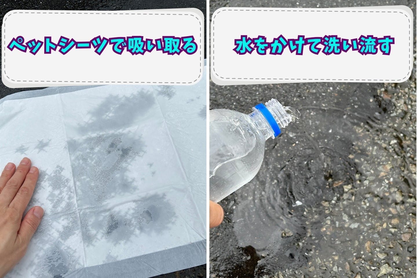 ペットシーツで吸い取る・水をかける洗い流す