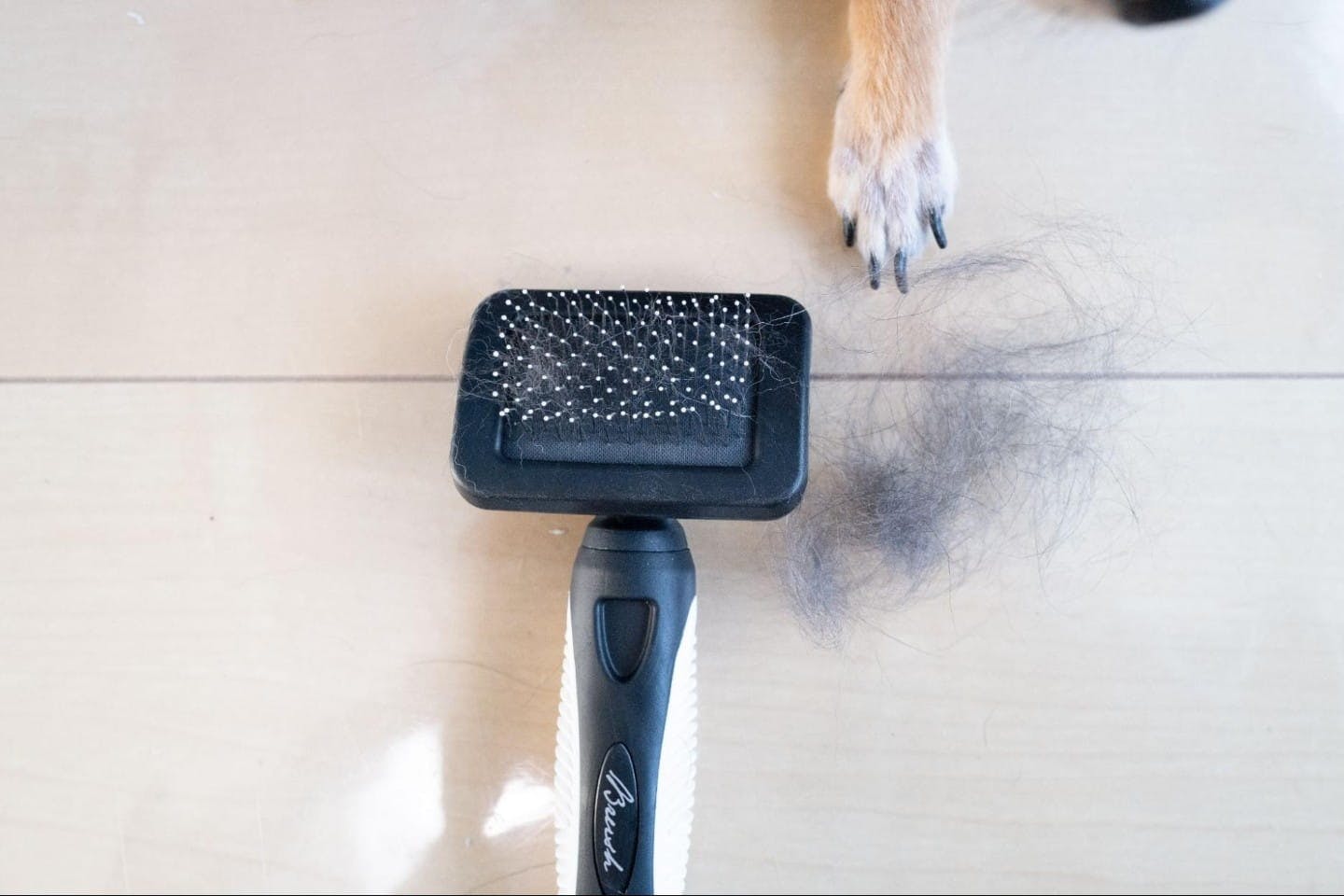 犬の毛とスリッカー