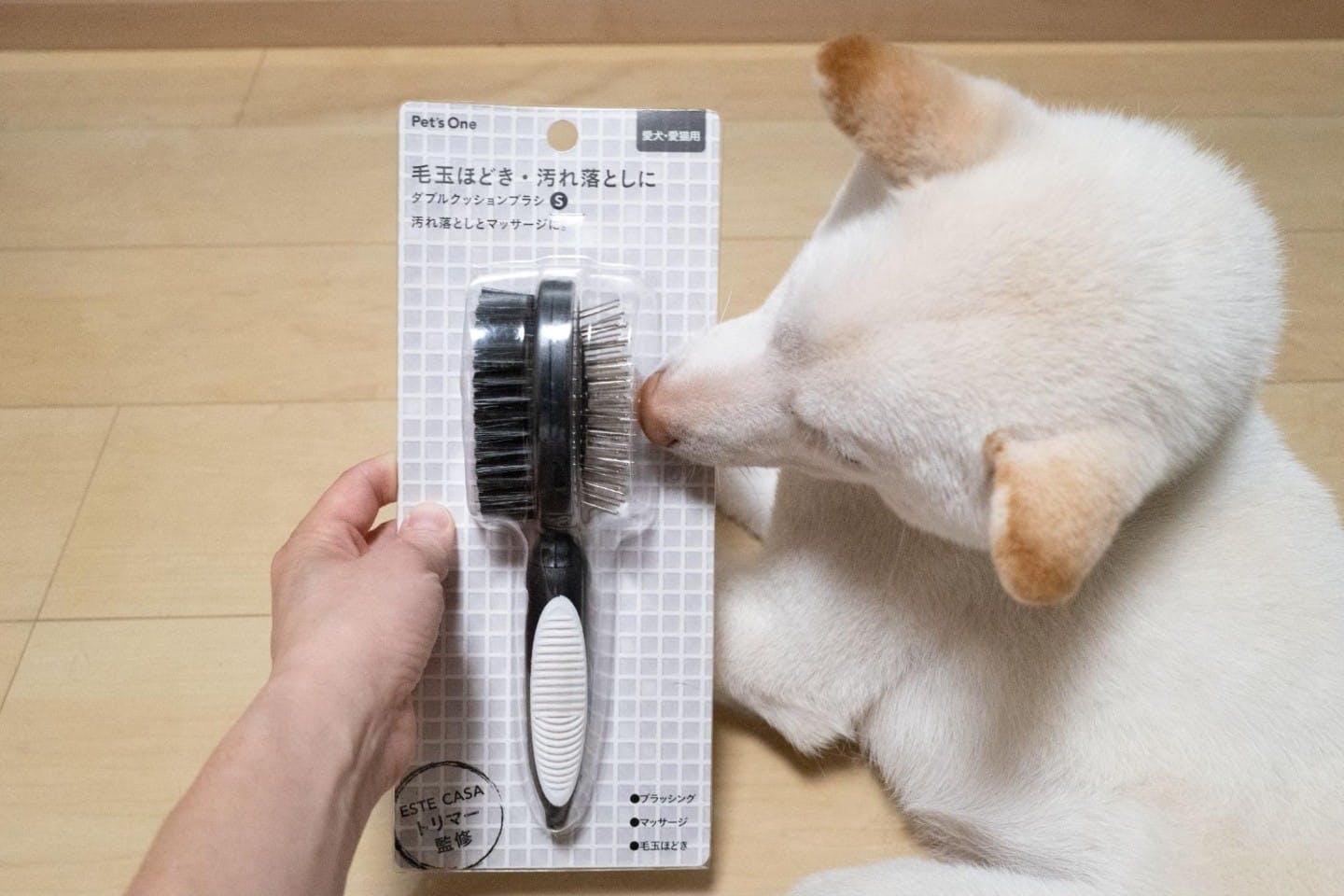 ダブルクッションブラシ