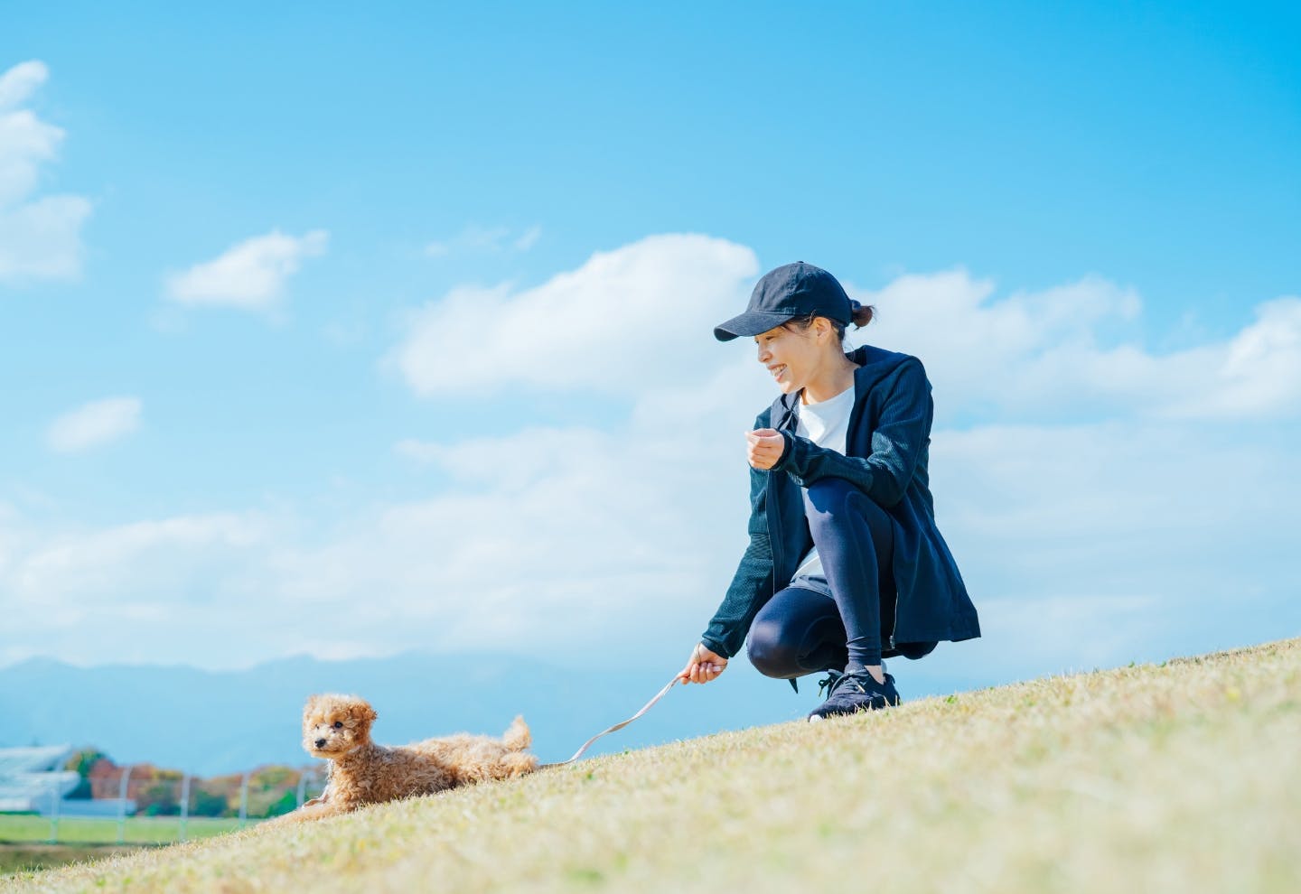 ペット保険の選び方、大切なポイントは？