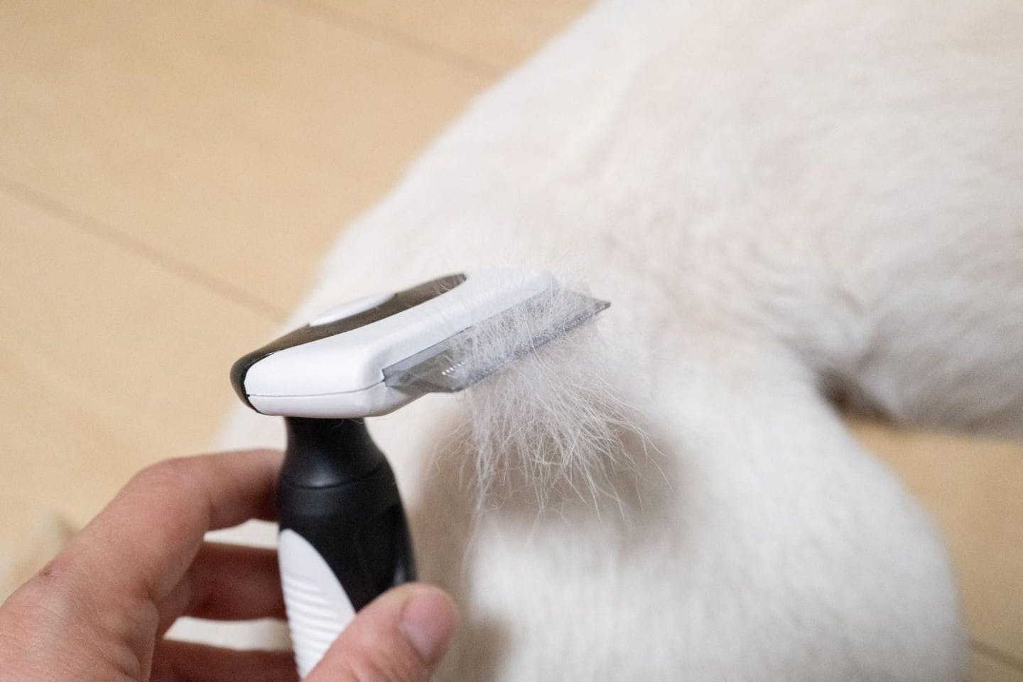 ムダ毛取りブラシで取れた柴犬の毛