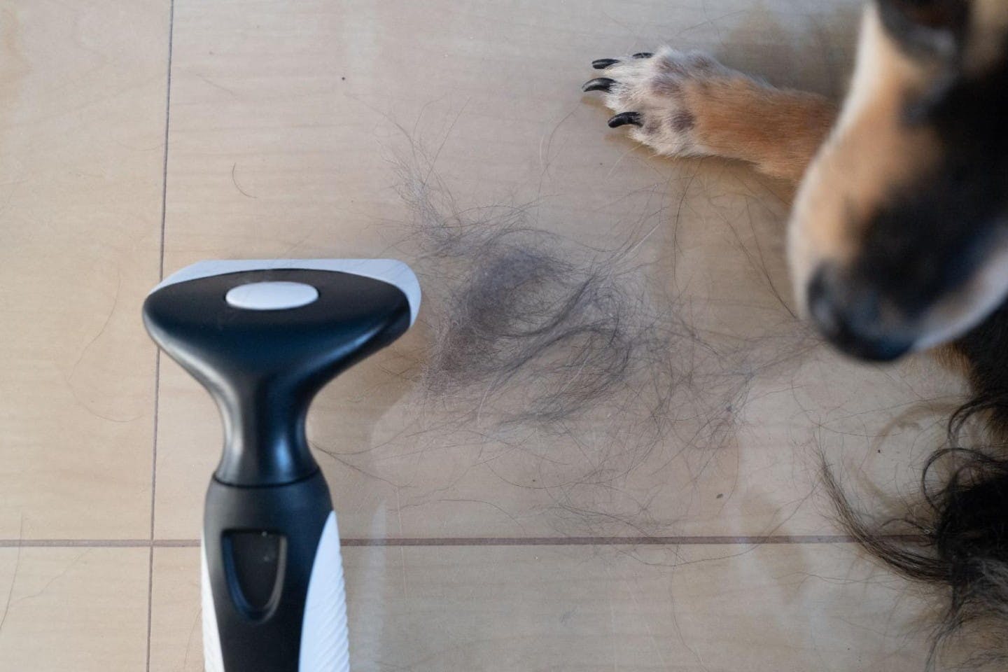 一度でこれだけ取れたら合格点！