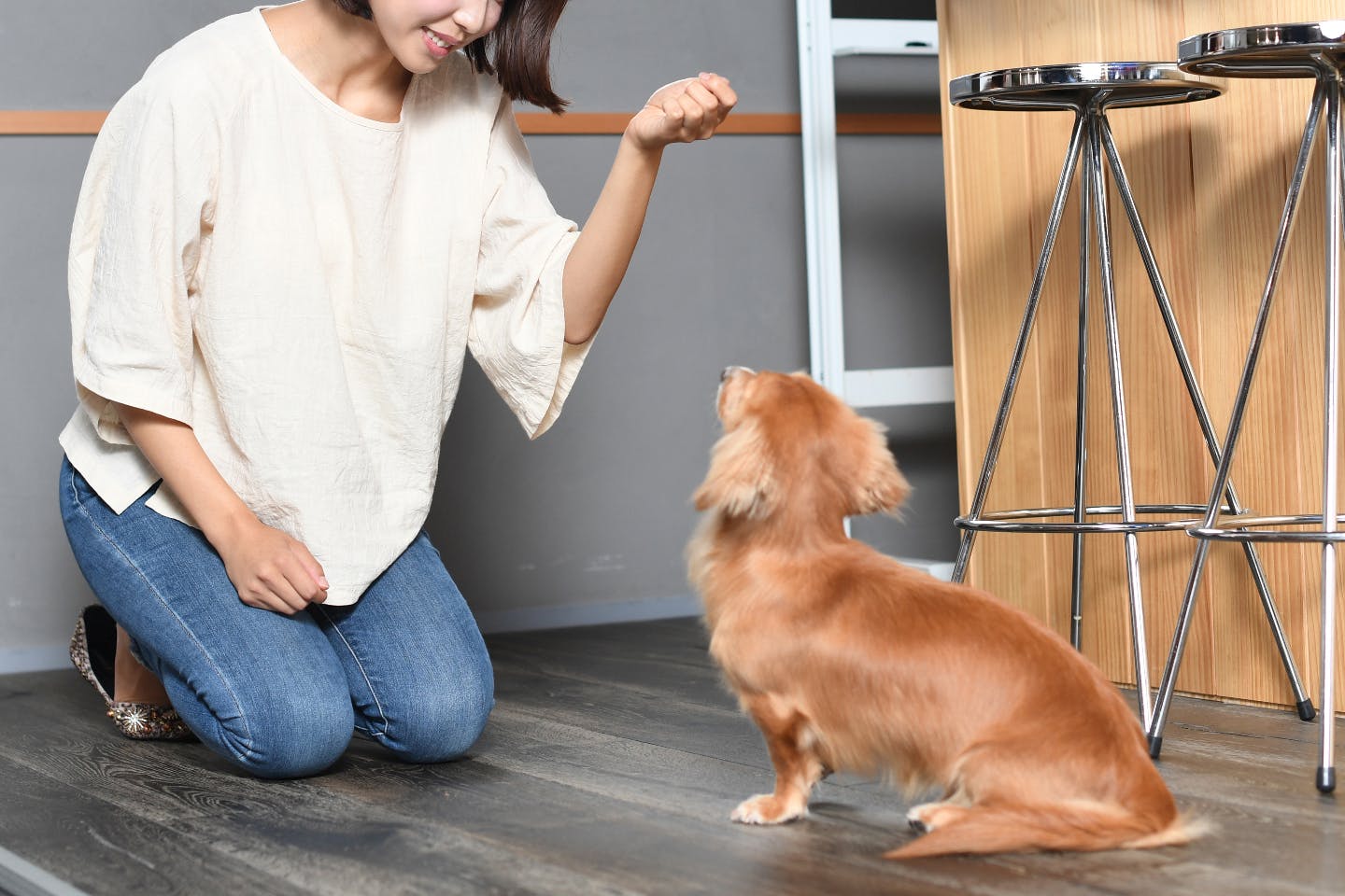 愛犬に与えるなら「犬用せんべい」がおすすめ! 愛犬に与えるなら「犬用せんべい」がおすすめ!