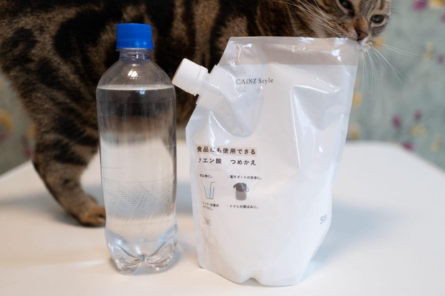 作業を始めると猫たちが寄ってくる