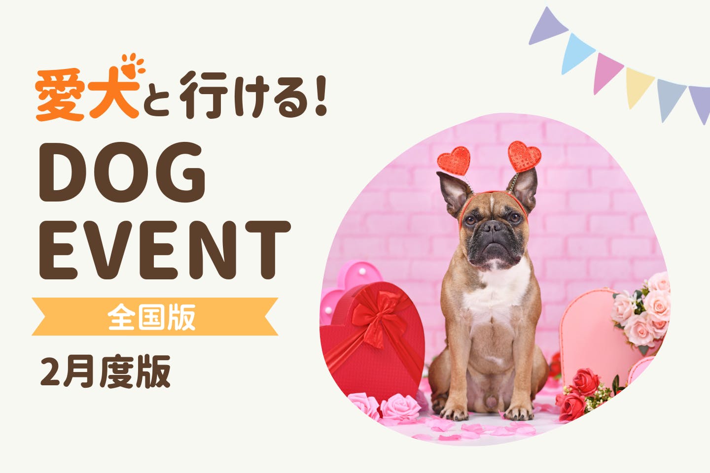 【2026年2月】全国の愛犬と一緒に楽しめるドッグイベント
