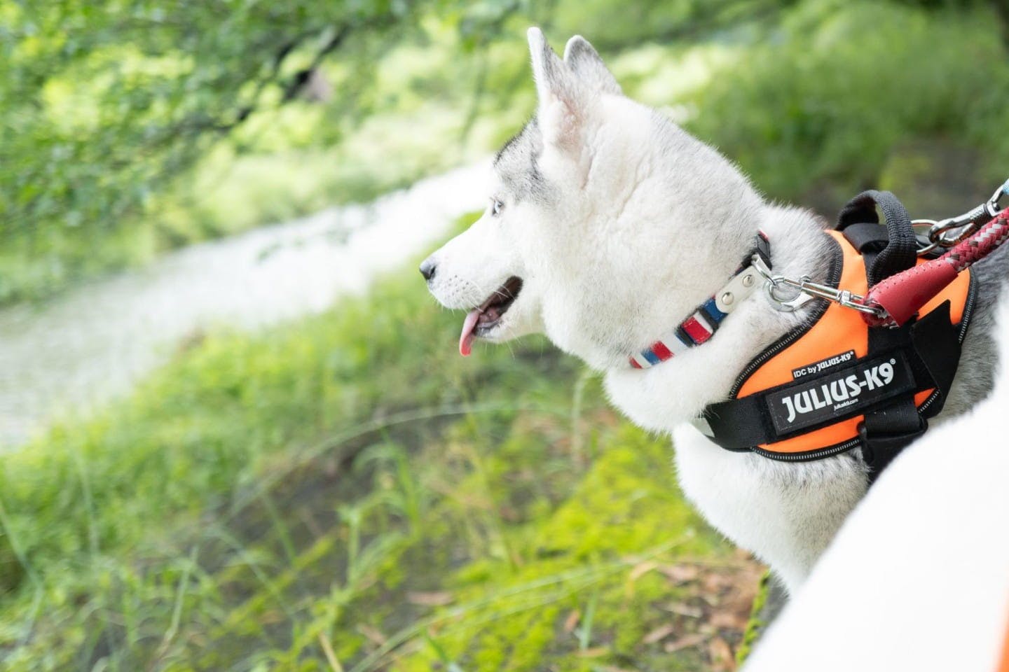 いつまでも一緒にいたいからこそ