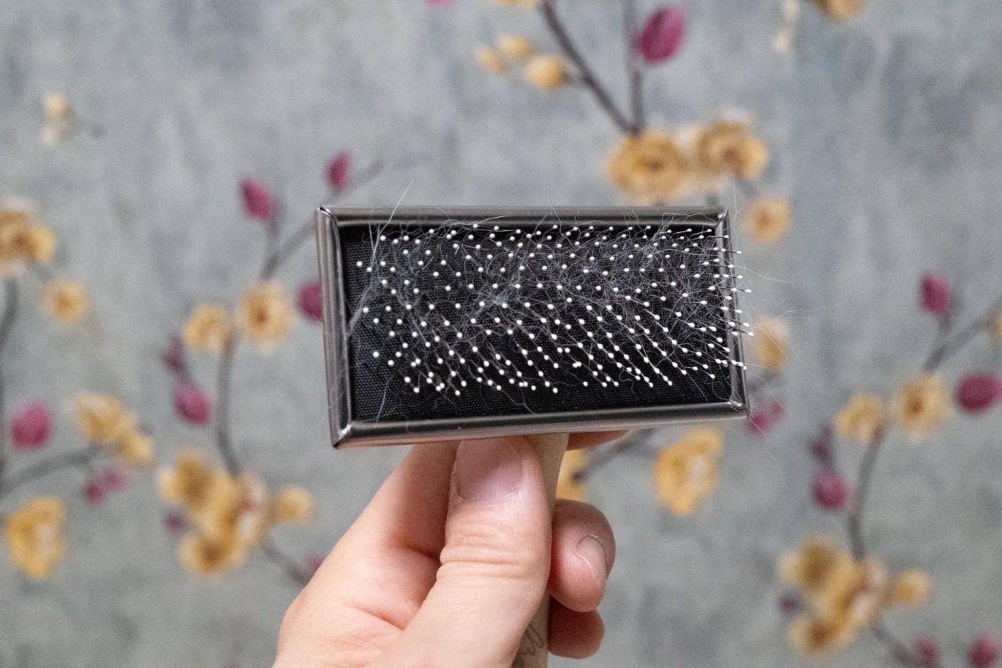 これをとるブラシがほしくなる