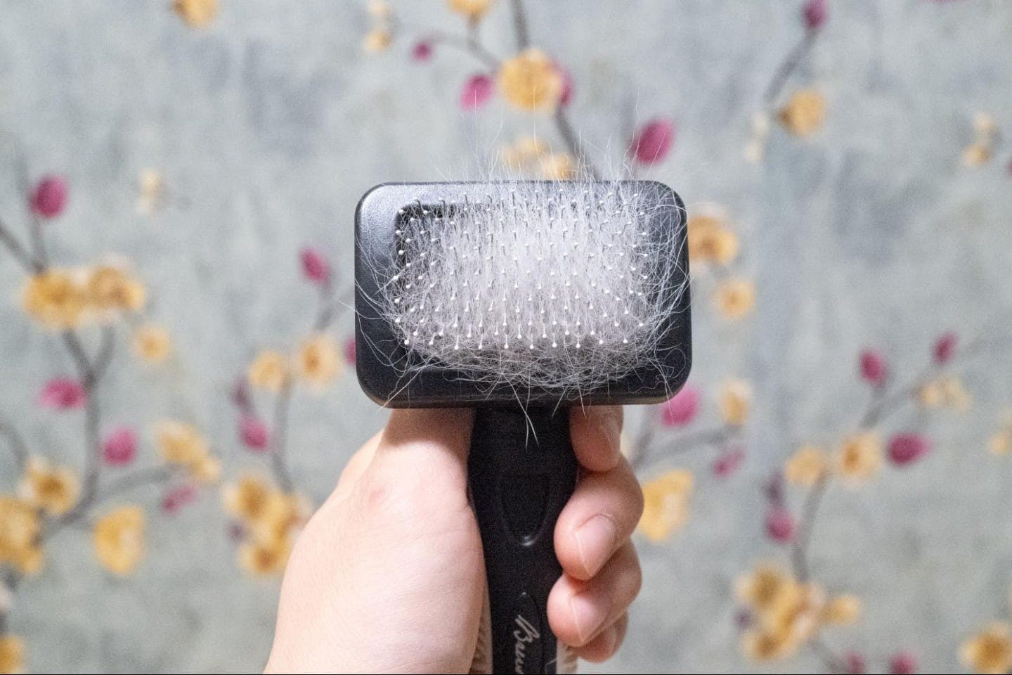 ブラシの歯先に絡んだ毛