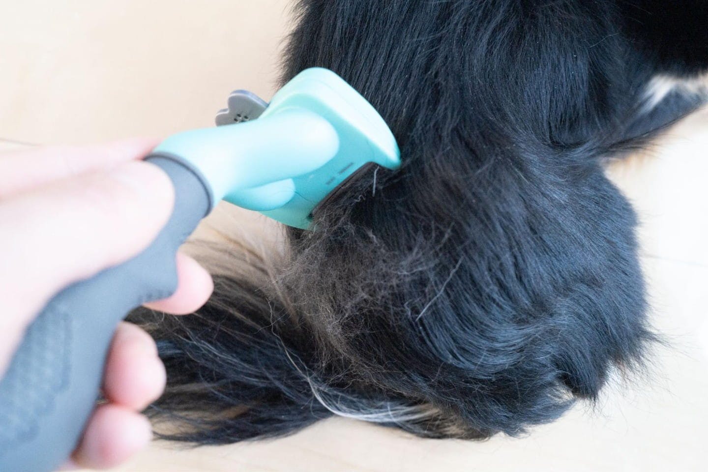 一度のブラッシングでごっそり！