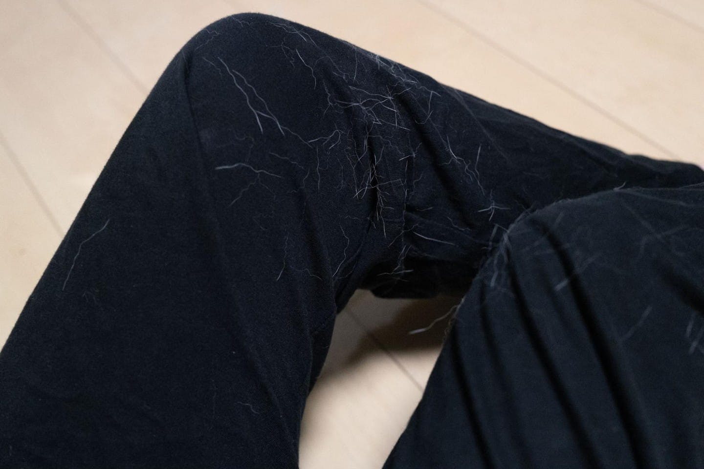 服に付いた犬の抜け毛 服に付いた犬の抜け毛