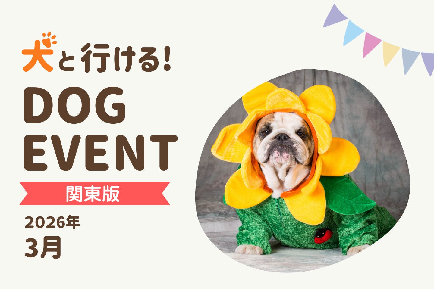 【2026年3月関東版】愛犬と一緒に楽しめるドッグイベント