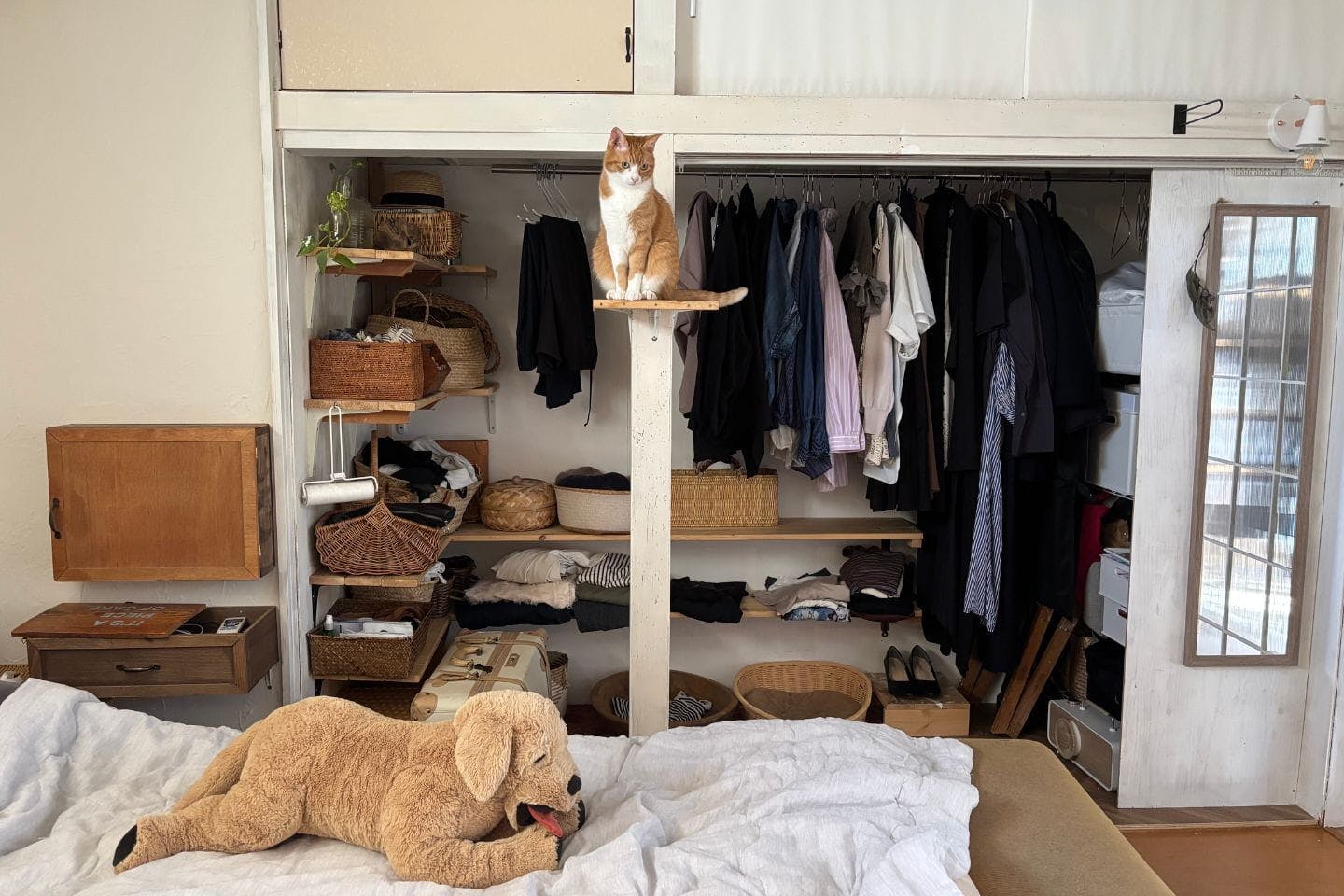 レイルがいない寂しさから似ているぬいぐるみを買った