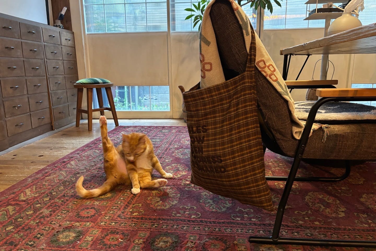 ハルオのレイルロスもまだ続いていた