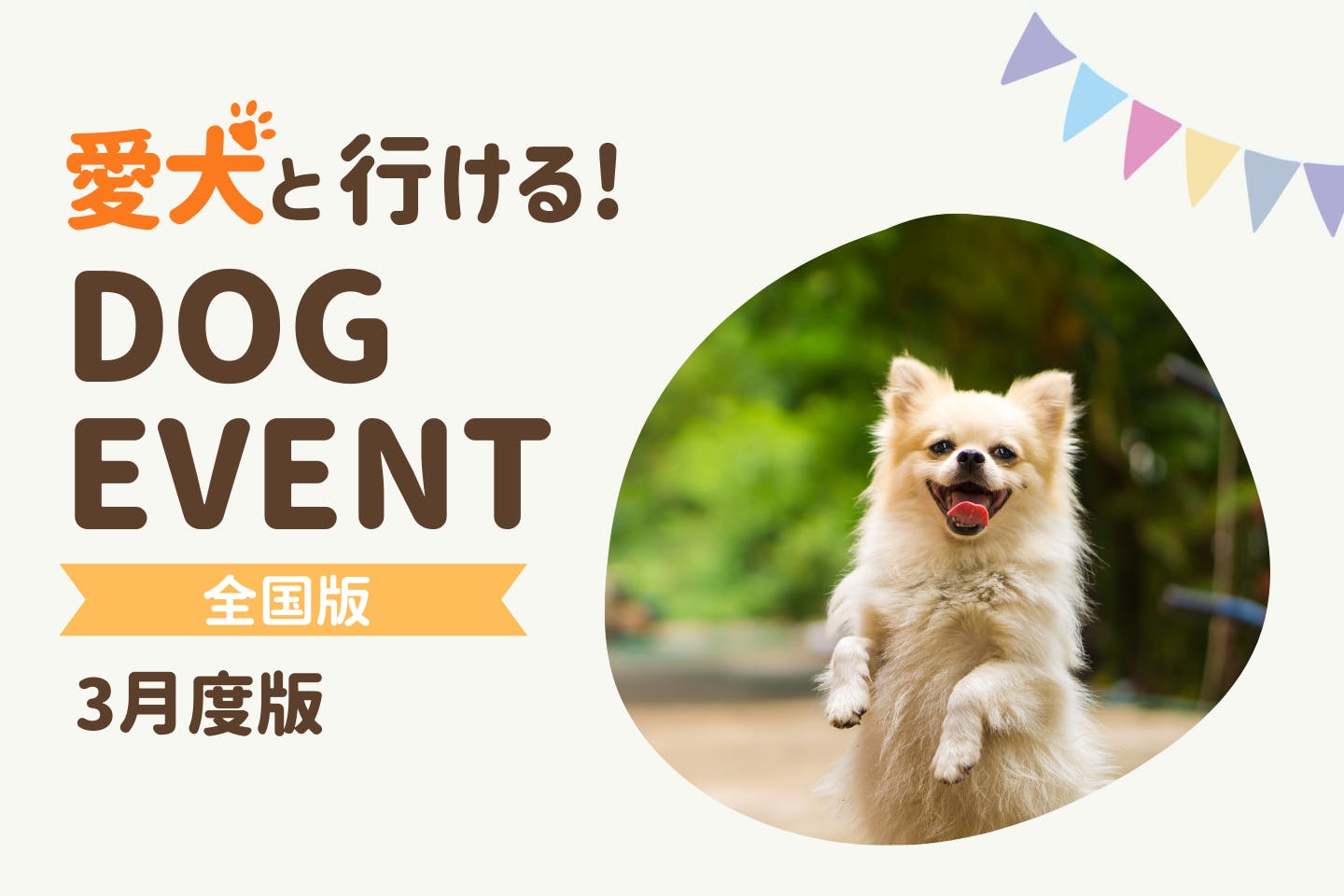 【2026年3月】全国の愛犬と一緒に楽しめるドッグイベント