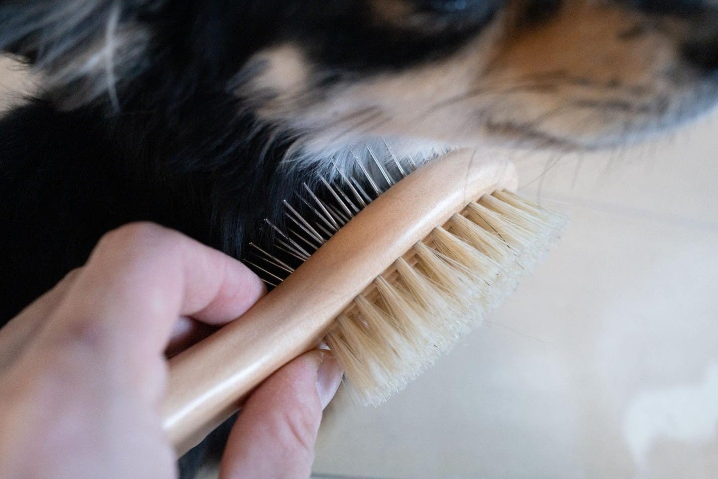 豚毛のヘアブラシ