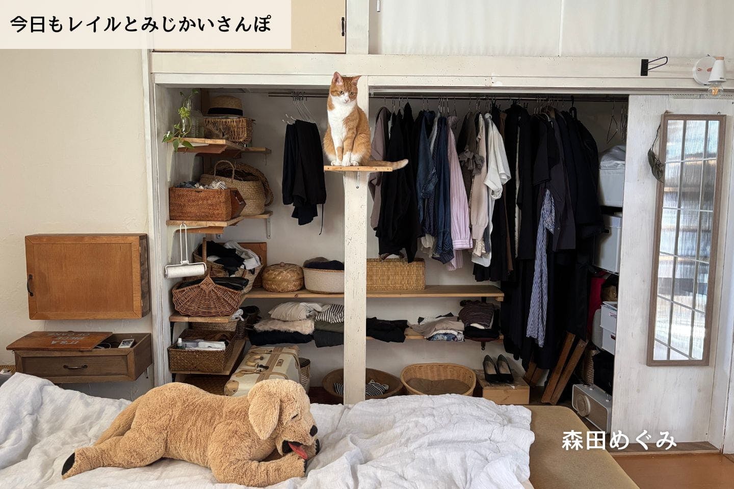 【連載】悲しみに暮れた日々で出た結論|森田めぐみ|今日もレイルとみじかいさんぽ