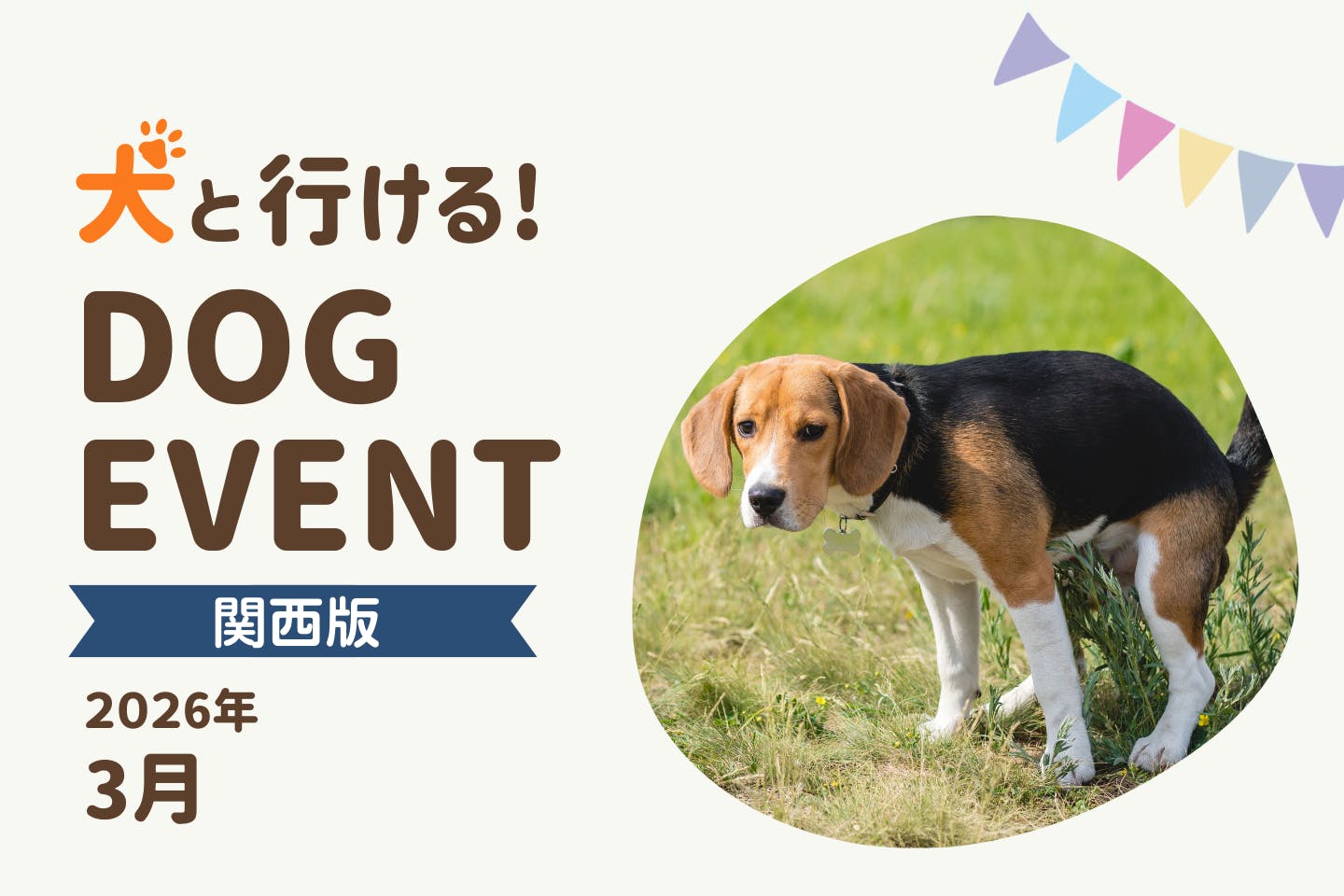 【2026年3月関西版】愛犬と一緒に楽しめるドッグイベント