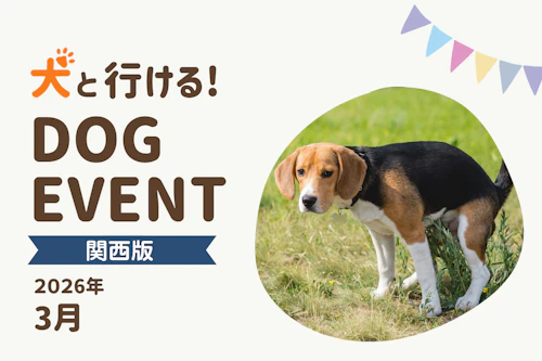 2026年3月関西版】愛犬と一緒に楽しめるドッグイベント|ワンクォール