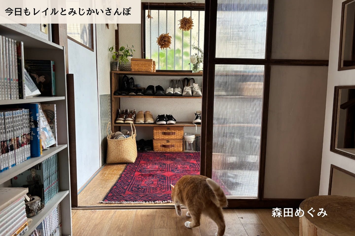 【連載】レイルがいない部屋で、夏を待つ|森田めぐみ|今日もレイルとみじかいさんぽ