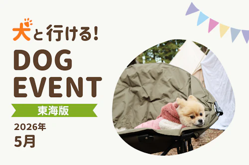 132c1a93-東海_5月.png?auto=