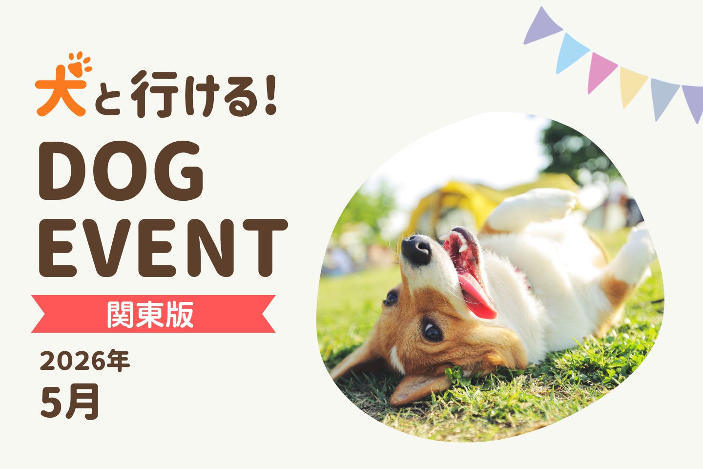 【2026年5月関東版】愛犬と一緒に楽しめるドッグイベント
