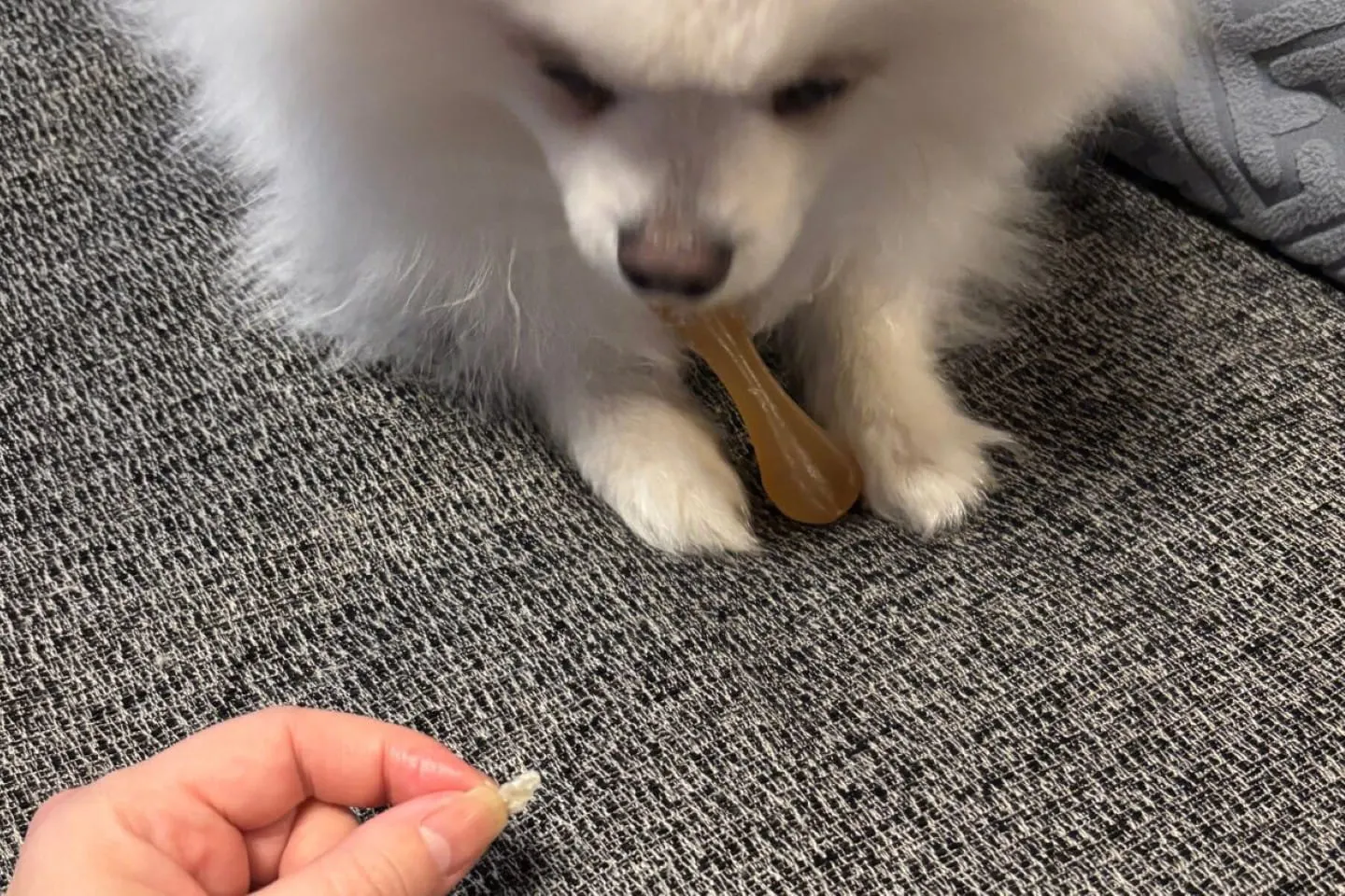 かんでるCORNチキンSSのかけら かんでるCORNチキンSSのかけら