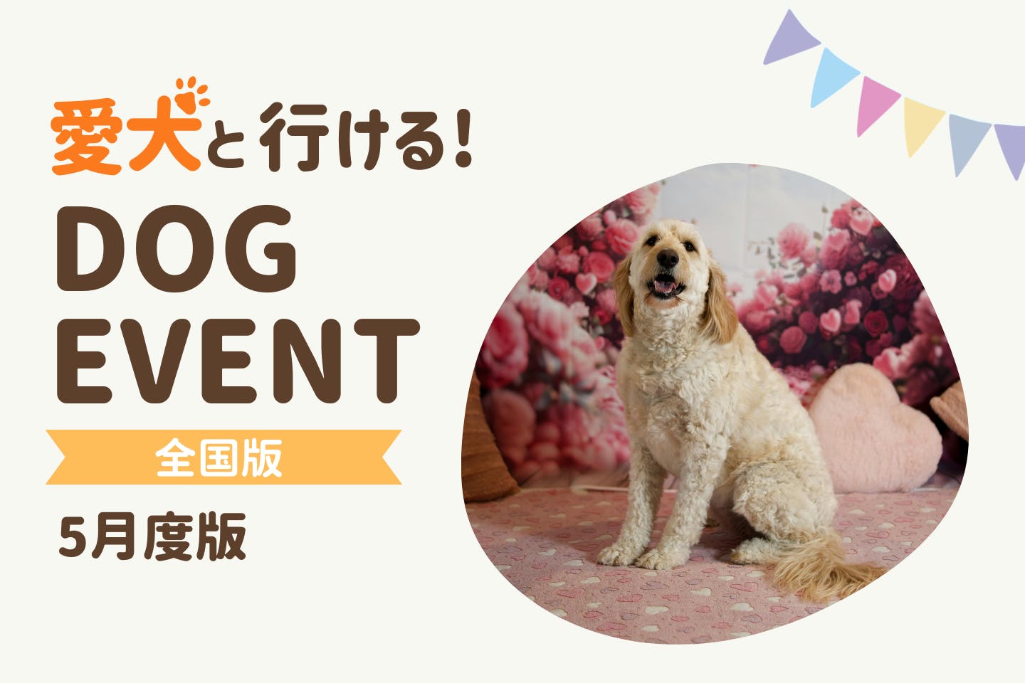 【2026年5月】全国の愛犬と一緒に楽しめるドッグイベント