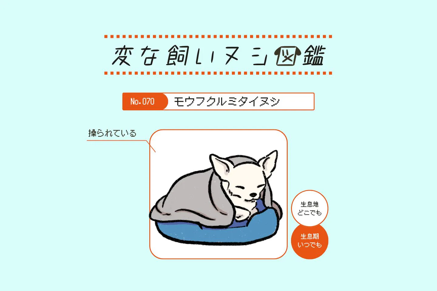 【変な飼いヌシ図鑑No.070】愛犬を包まずにいられない飼い主『モウフクルミタイヌシ』