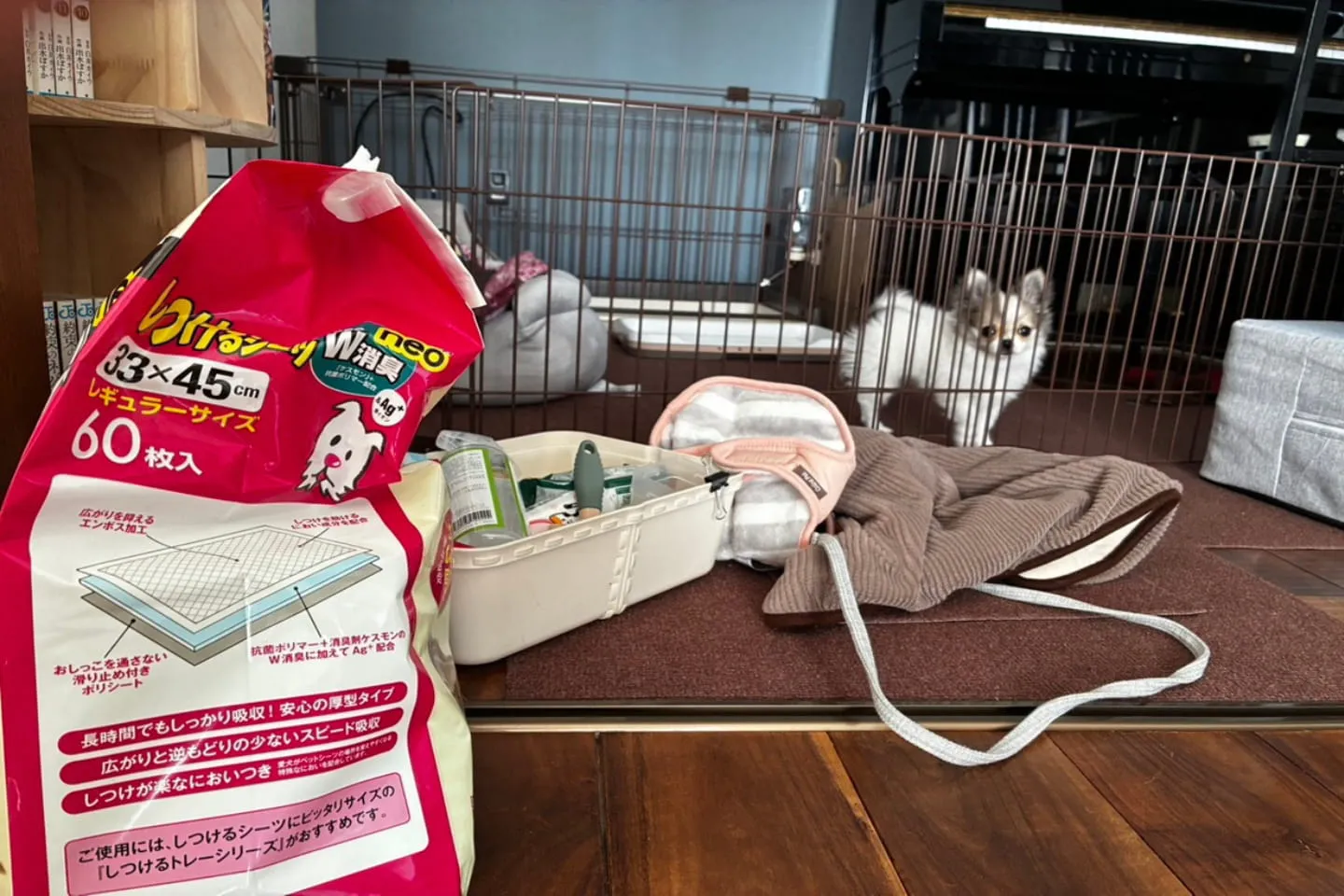 犬用のペットシーツ、ケア用品、お洋服などが置かれた部屋