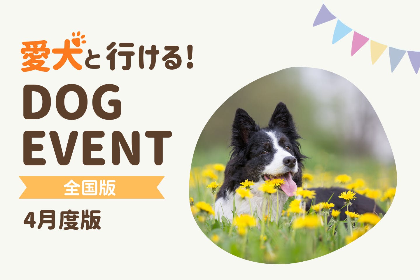 【2026年4月】全国の愛犬と一緒に楽しめるドッグイベント