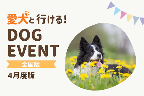 2026年4月】全国の愛犬と一緒に楽しめるドッグイベント|ワンクォール