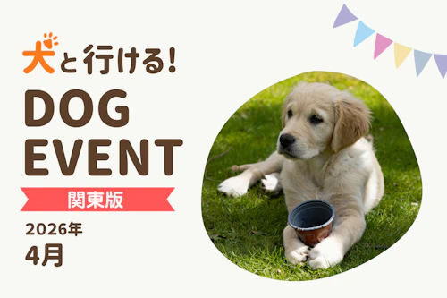 2026年4月関東版】愛犬と一緒に楽しめるドッグイベント|ワンクォール