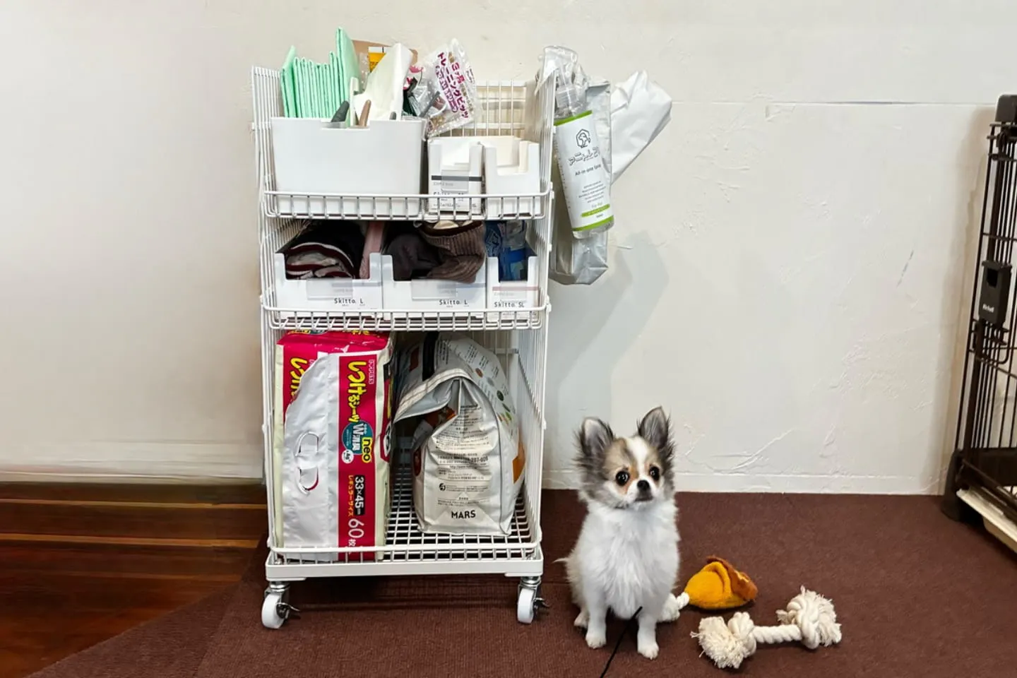 【ペット収納】愛犬グッズの収納問題を解決!? 誤飲対策もできる「アイアンキャリコ Metallico」