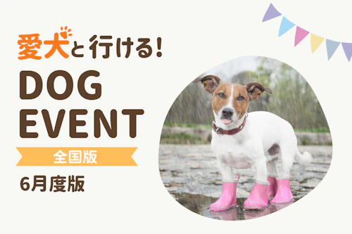 2026年6月】全国の愛犬と一緒に楽しめるドッグイベント|ワンクォール