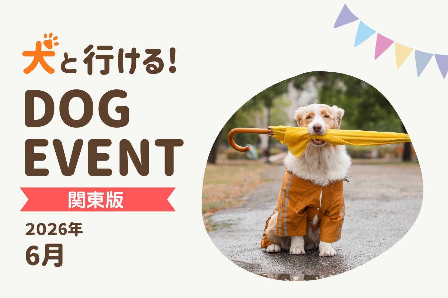 【2026年6月関東版】愛犬と一緒に楽しめるドッグイベント