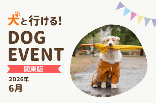 2026年6月関東版】愛犬と一緒に楽しめるドッグイベント|ワンクォール