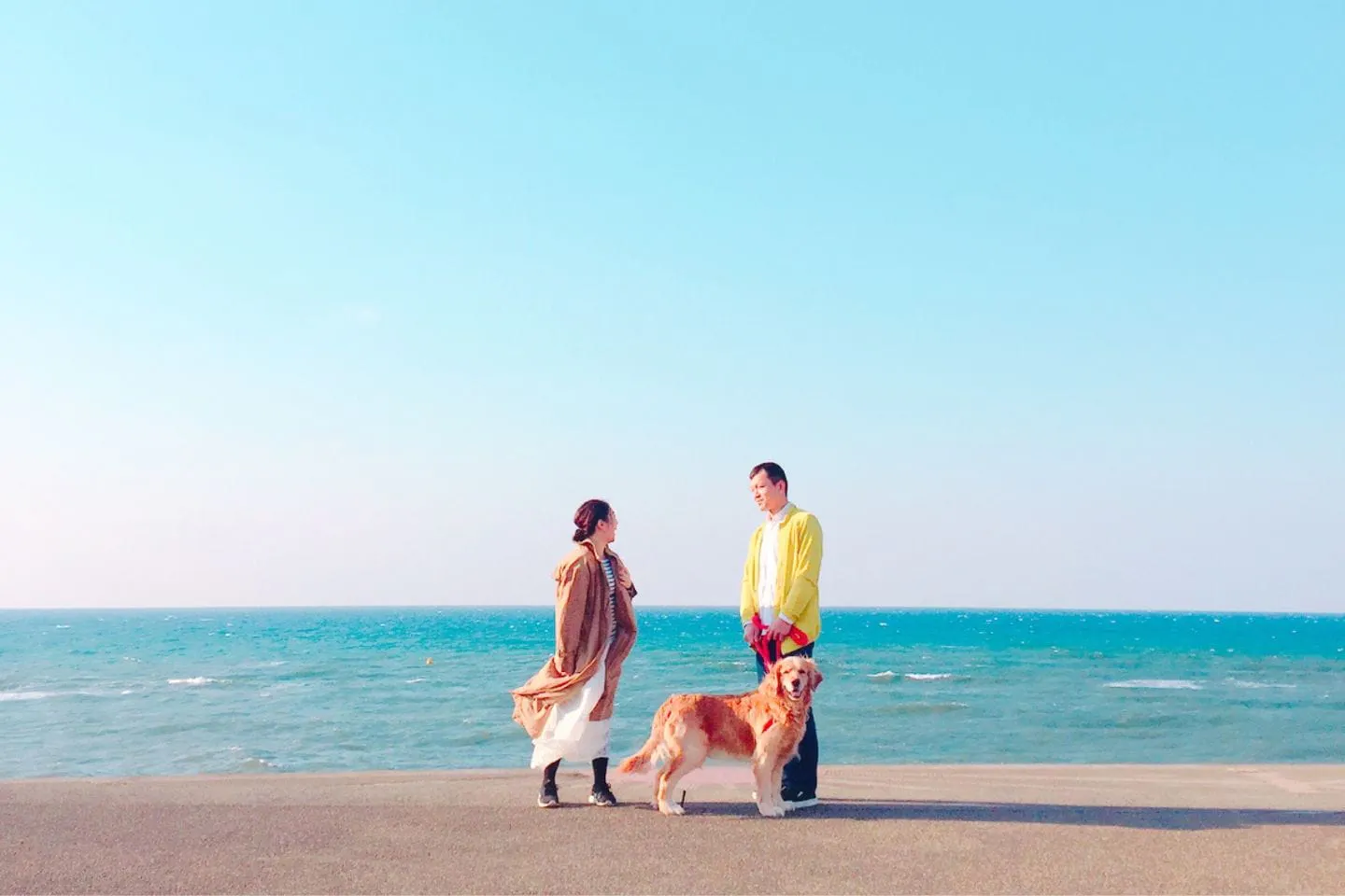 男性と女性が犬の散歩をする様子